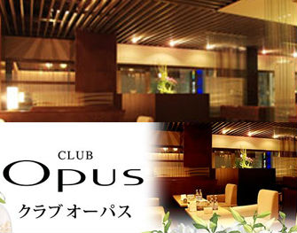 CLUB Opus　すすきの 写真