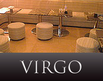 VIRGO(ヴァルゴ)