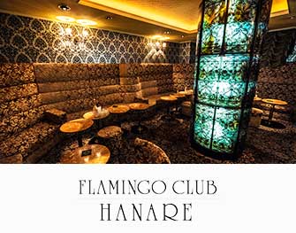 FLAMINGO CLUB HANARE　熊本市 写真