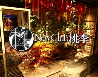 ニュークラブ トウリ NewClub 桃李 すすきの 画像0