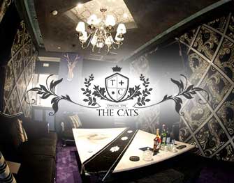 ザ キャッツ THE CATS 熊本市 画像0